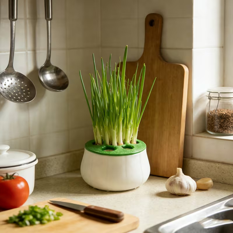 3D Printing Online - Green Onion Regeneration Planter Pot 3D