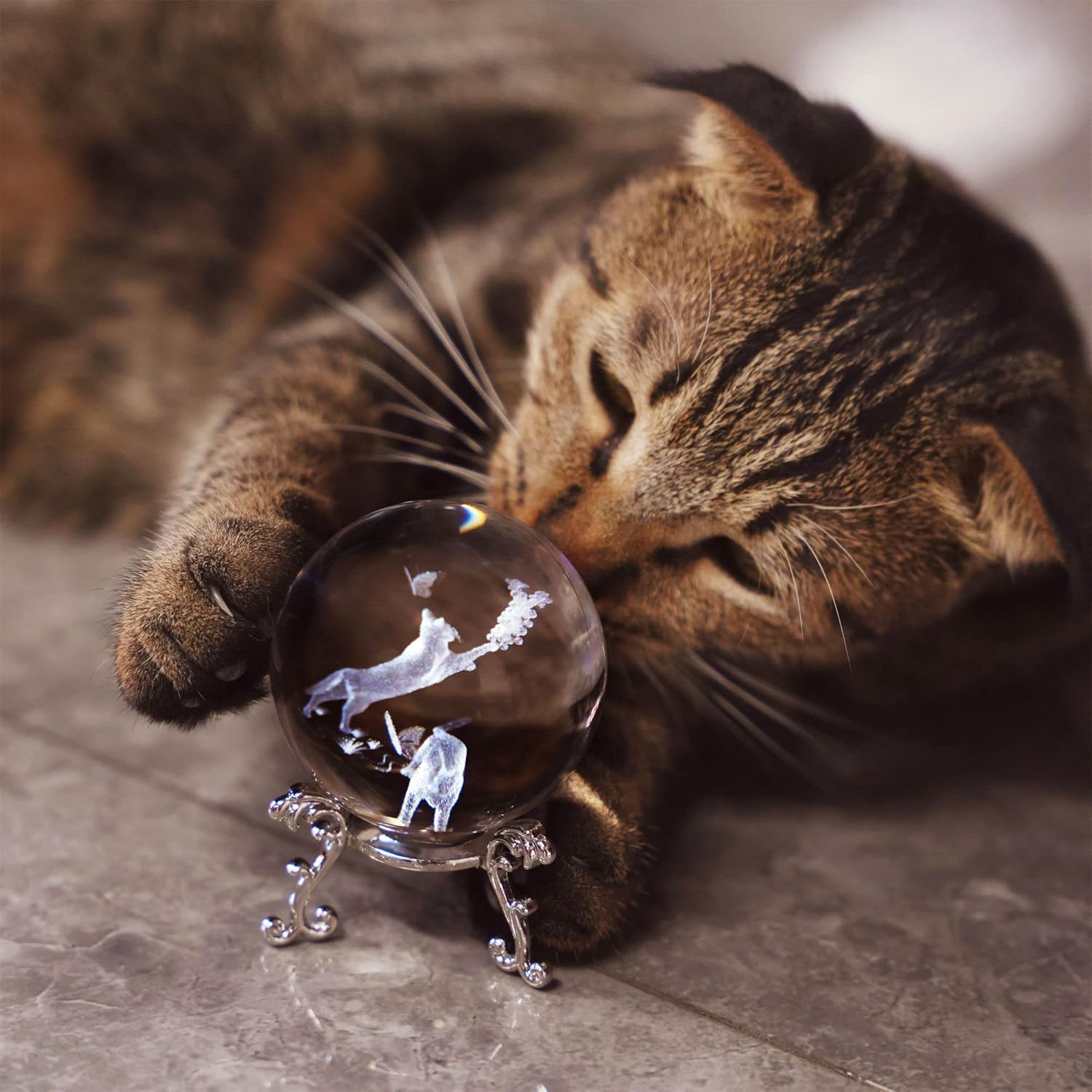 60mm Cat Crystal Ball with Met - 3D Printing Laser Cutting 评论和价格