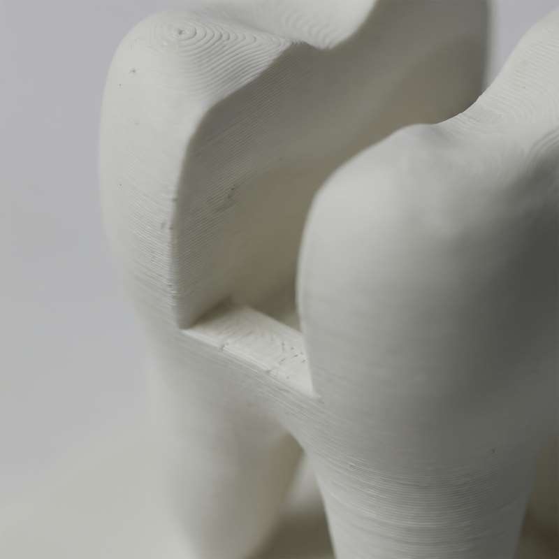 3D Printed Tooth Shaped Busine - 3D Printing Examples 评论和价格
